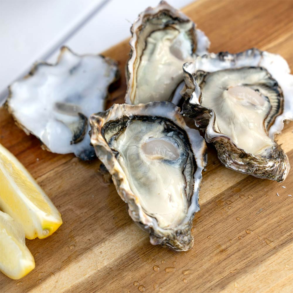 bbq-oyster-size