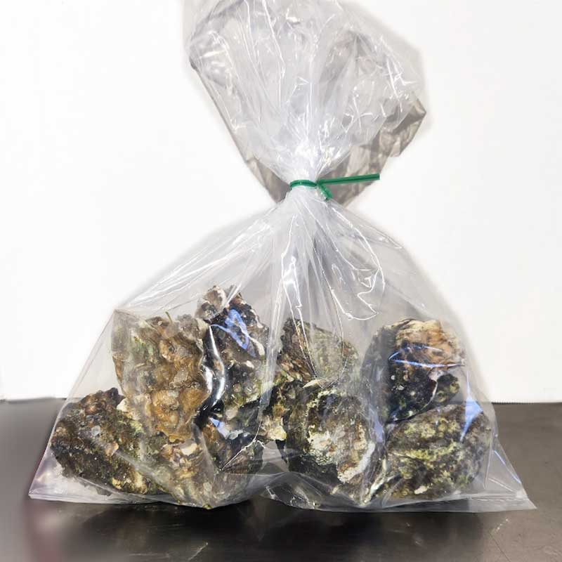 Bay Center Oysters - shipped to you!
